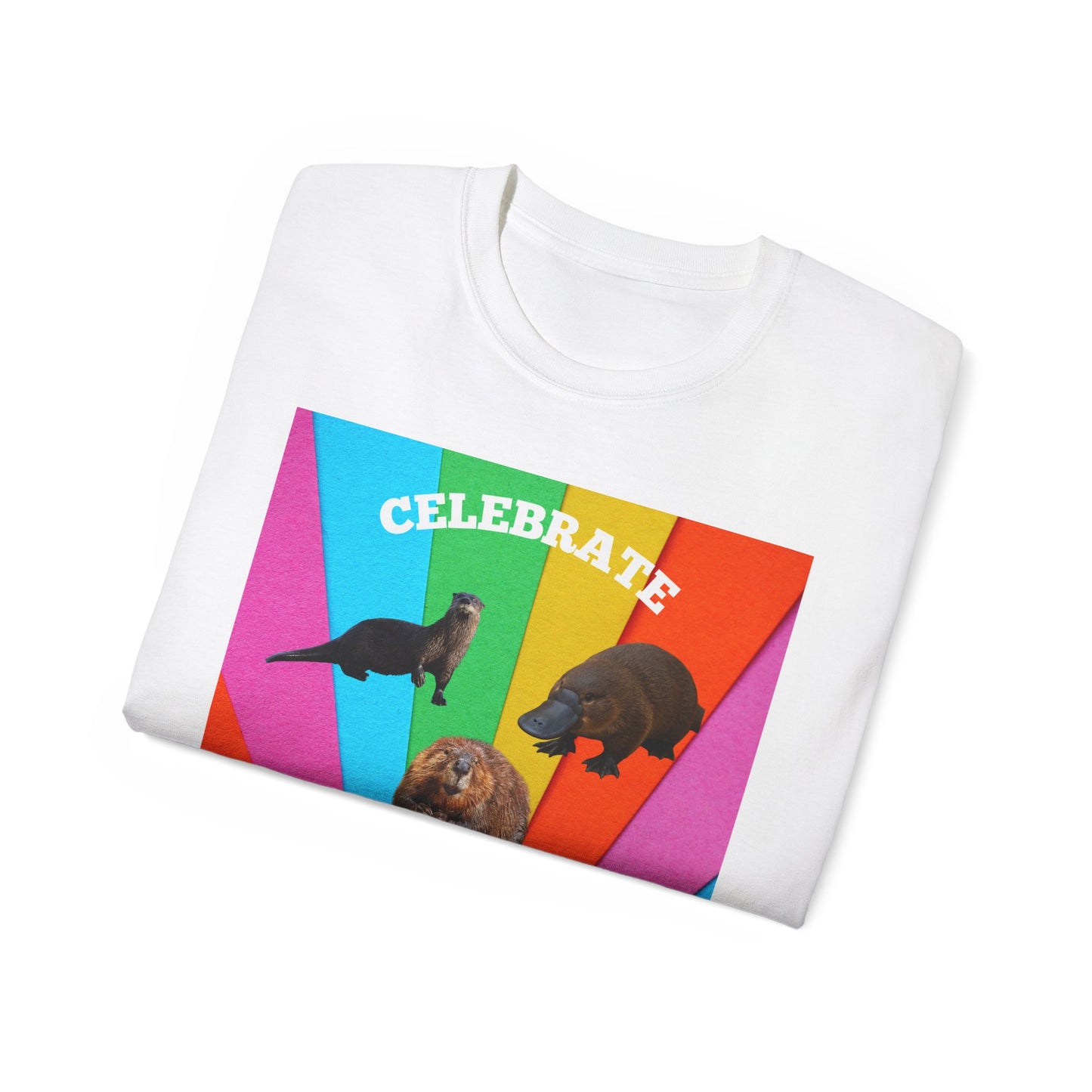 Celebrate Diversity